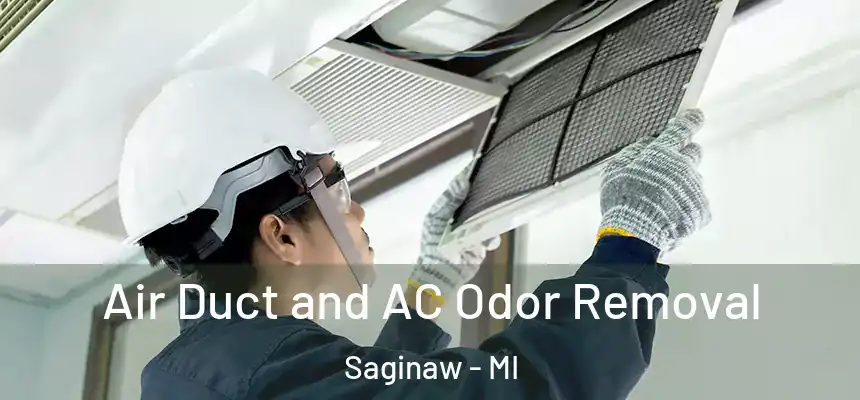 Air Duct and AC Odor Removal Saginaw - MI