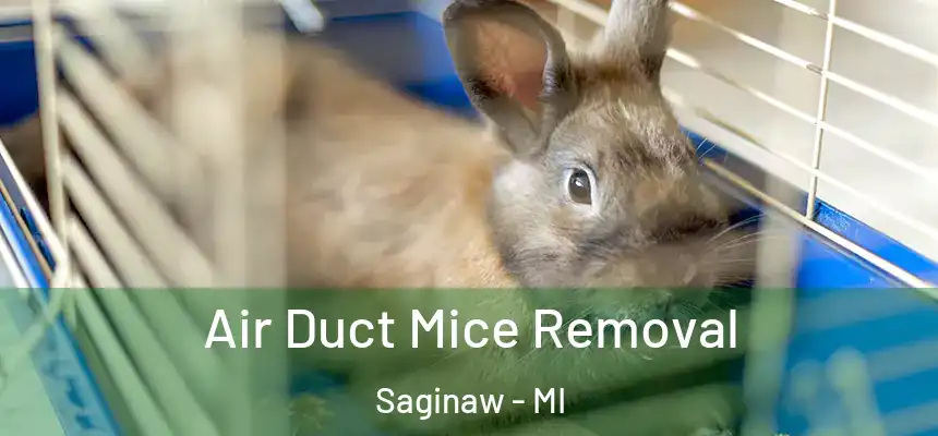 Air Duct Mice Removal Saginaw - MI