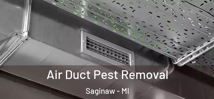  Air Duct Pest Removal Saginaw - MI