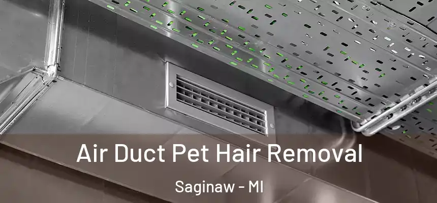 Air Duct Pet Hair Removal Saginaw - MI