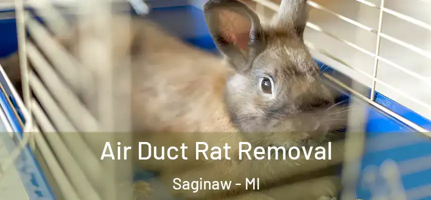 Air Duct Rat Removal Saginaw - MI