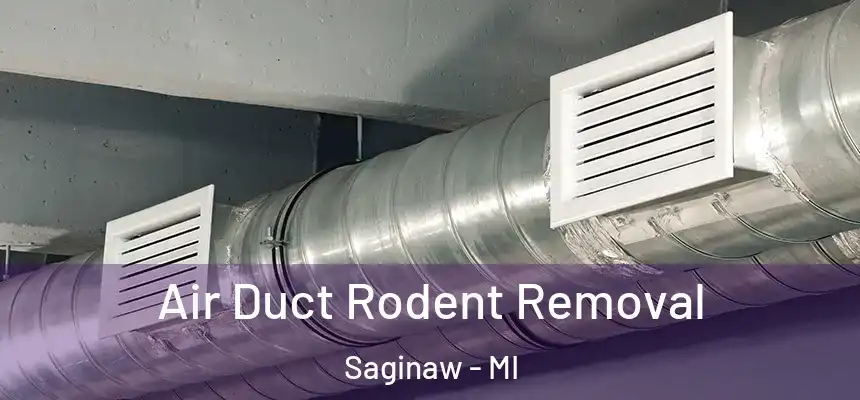 Air Duct Rodent Removal Saginaw - MI
