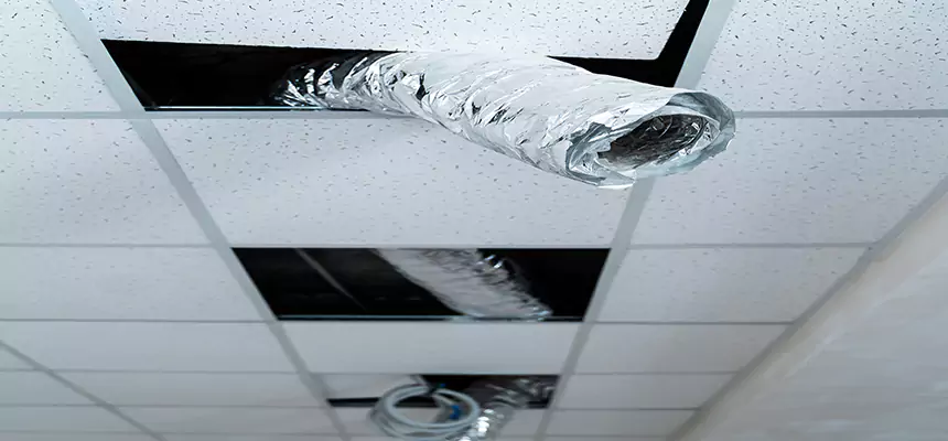 Affordable HVAC Sanitizing After Pest Removal in Saginaw