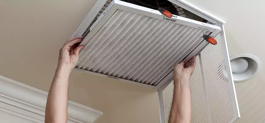 Our Insect Removal from Air Ducts Services in Saginaw, MI