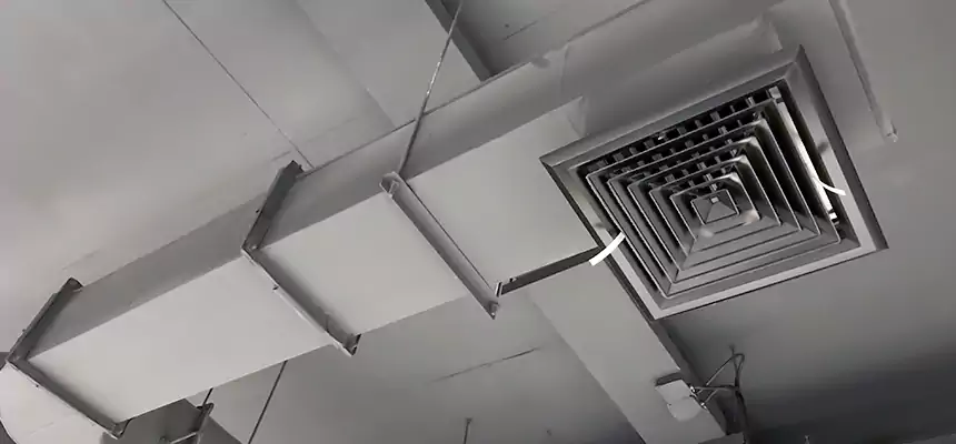 Our Pest Removal From Ducts Services in Saginaw, MI