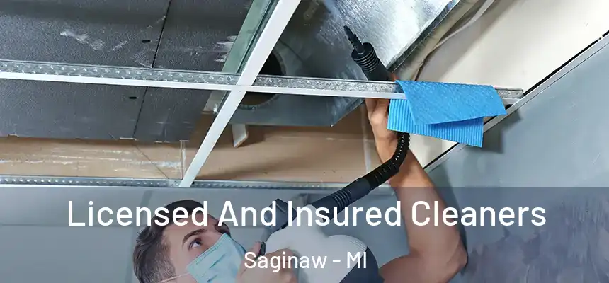 Licensed And Insured Cleaners Saginaw - MI