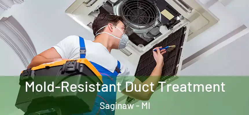 Mold-Resistant Duct Treatment Saginaw - MI