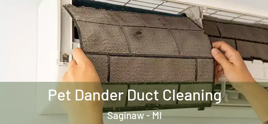 Pet Dander Duct Cleaning Saginaw - MI