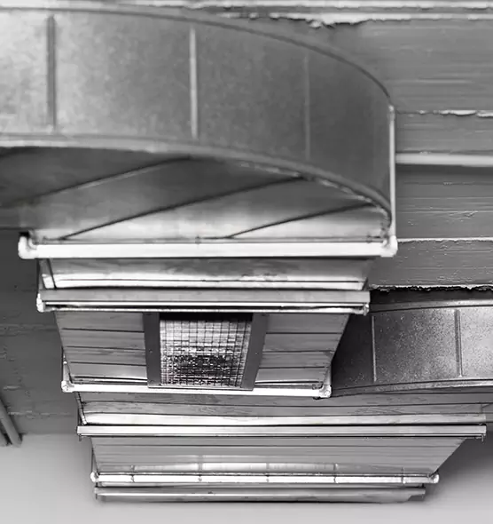 Professional Air Duct Pest Removal in Saginaw, MI