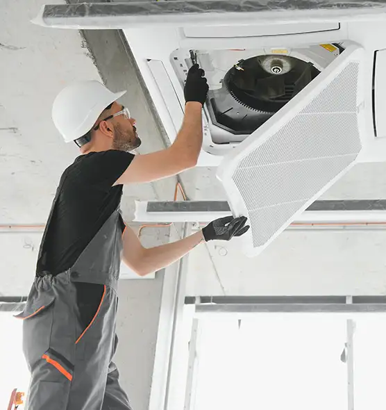 About Air Duct Rodent Removal in Saginaw, MI