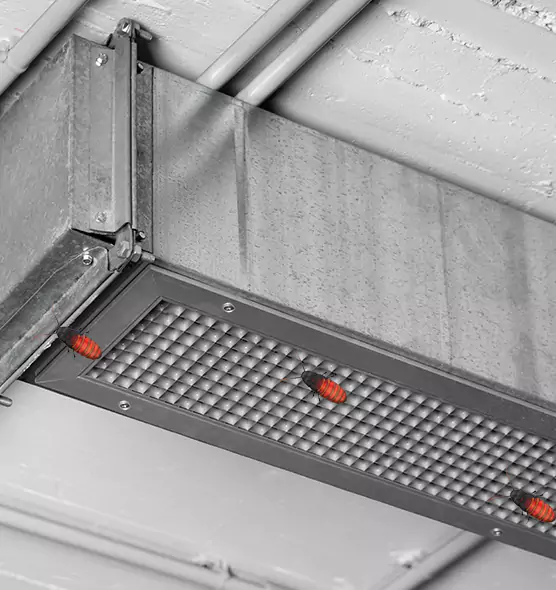 Affordable Insect Removal from Air Ducts in Saginaw, MI