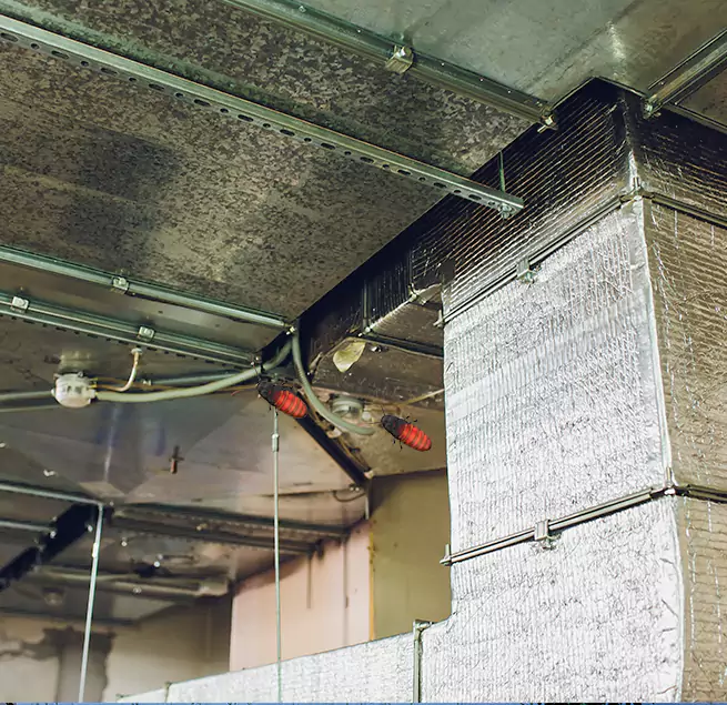 Why Homeowners & Businesses Trust Us in Saginaw, MI?