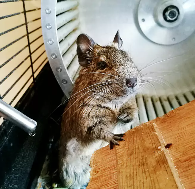 Why Homeowners & Businesses Trust Us Saginaw, MI