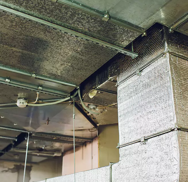 Why Homeowners & Businesses Trust Us in Saginaw, MI?